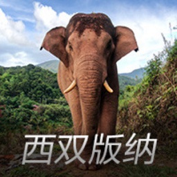 《我的后半生》直到刘丽娜提出分家，沈卓然方知，儿子离婚的真相